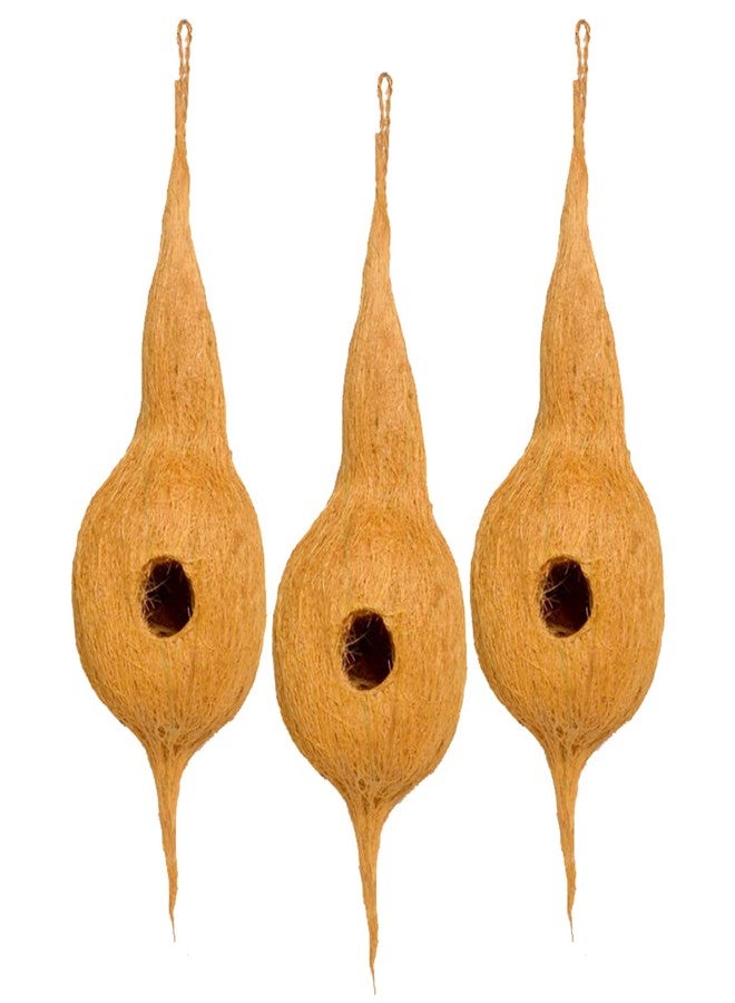 DealFry Handmade Hanging Bird Nest with Single Hole Made of Natural Coir Fiber Coconut Shell, Hanging Bird Nest for Cage and Balcony Birds Sparrows Finches Breeding (Brown | Medium) - (Set-3) - Image 1